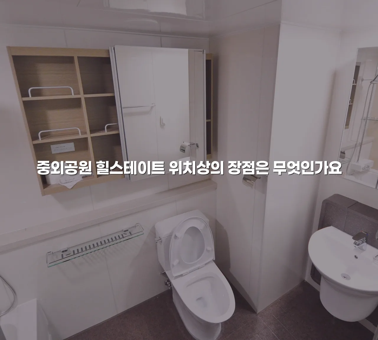 중외공원 힐스테이트 지역 특성 주변시설 교통 총정리 3 중외공원 힐스테이트 지역 특성 주변시설 교통 총정리