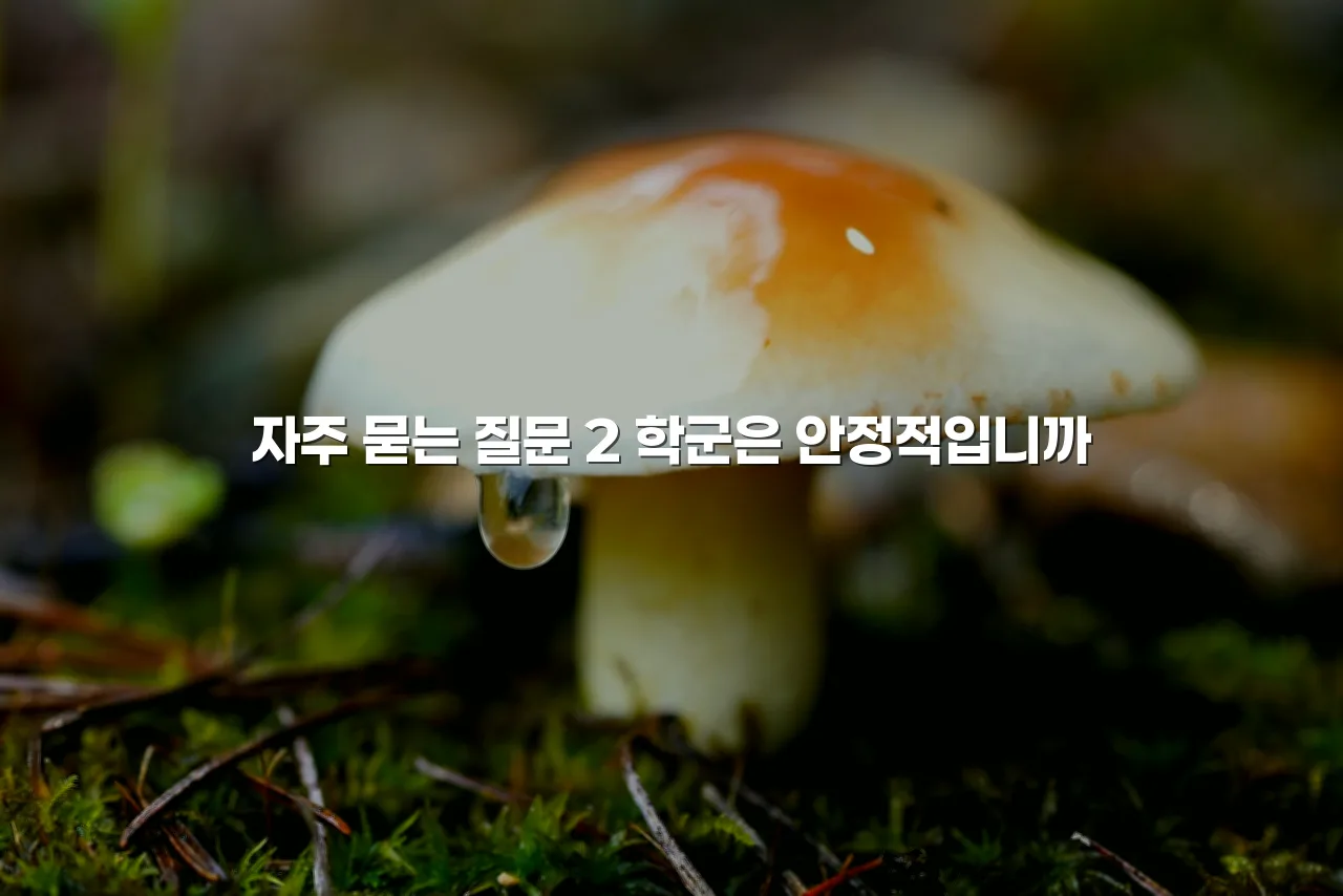 송암공원 중흥S클래스 주거환경 영향 요소 7가지 5 송암공원 중흥S클래스 주거환경 영향 요소 7가지