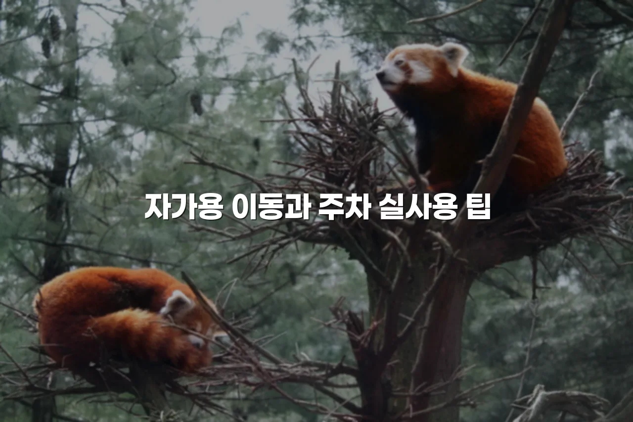 중앙공원 롯데캐슬 교통과 이동 편의성 총정리 6 중앙공원 롯데캐슬 교통과 이동 편의성 총정리