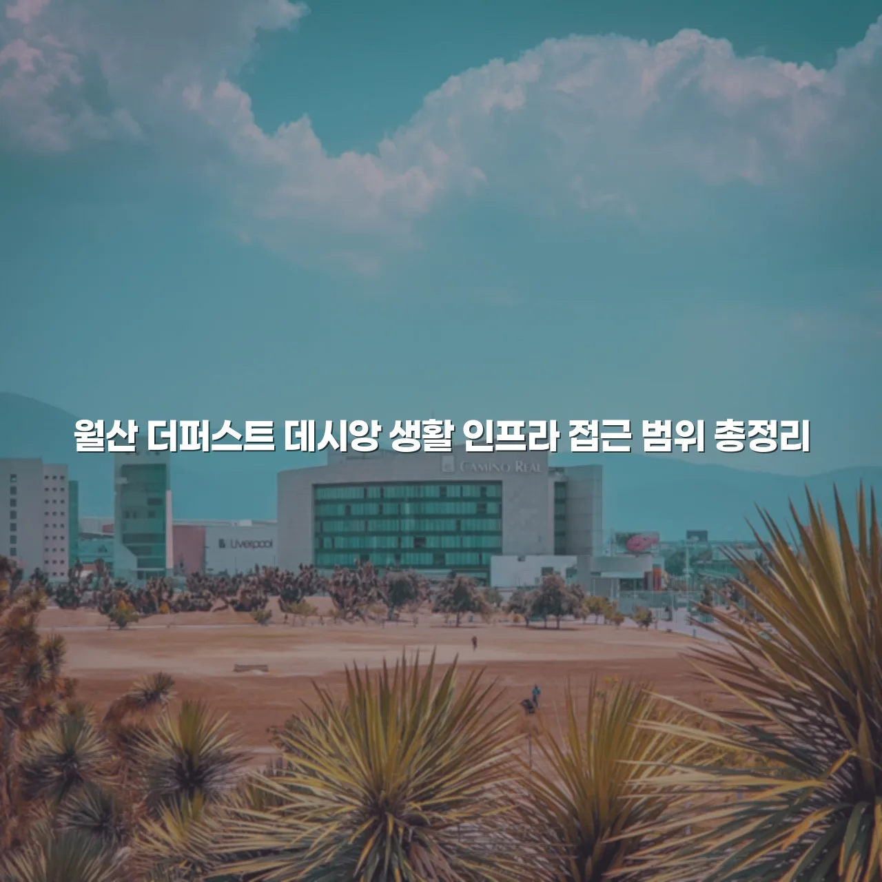 월산 더퍼스트 데시앙 생활 인프라 접근 범위 총정리 3 월산 더퍼스트 데시앙 생활 인프라 접근 범위 총정리