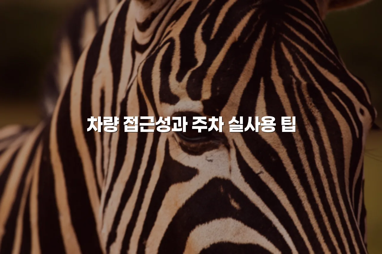 중외공원 힐스테이트 교통환경 분석과 통근 편의 체크리스트