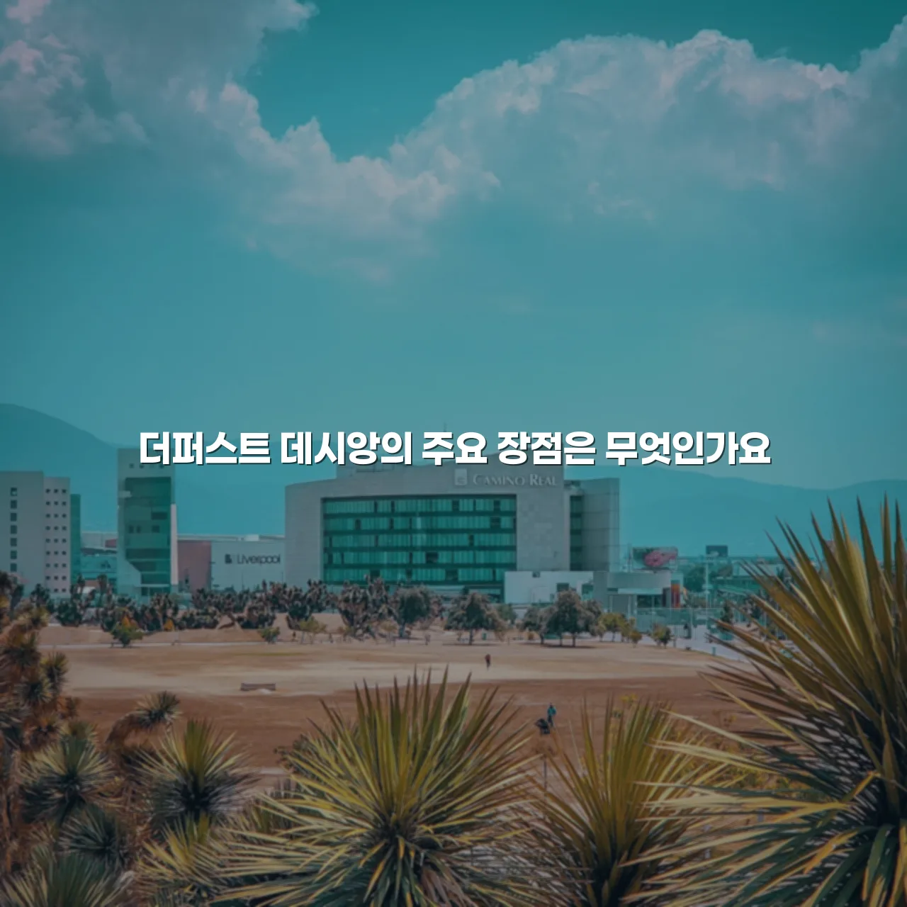 월산 더퍼스트 데시앙 주변 지역 특성 총정리