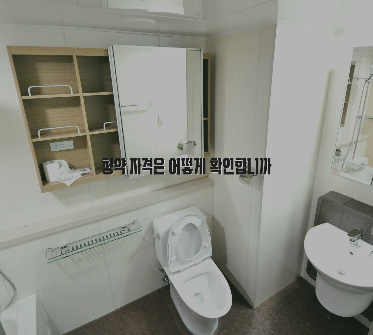 중외공원 힐스테이트 분양 청약 체크리스트