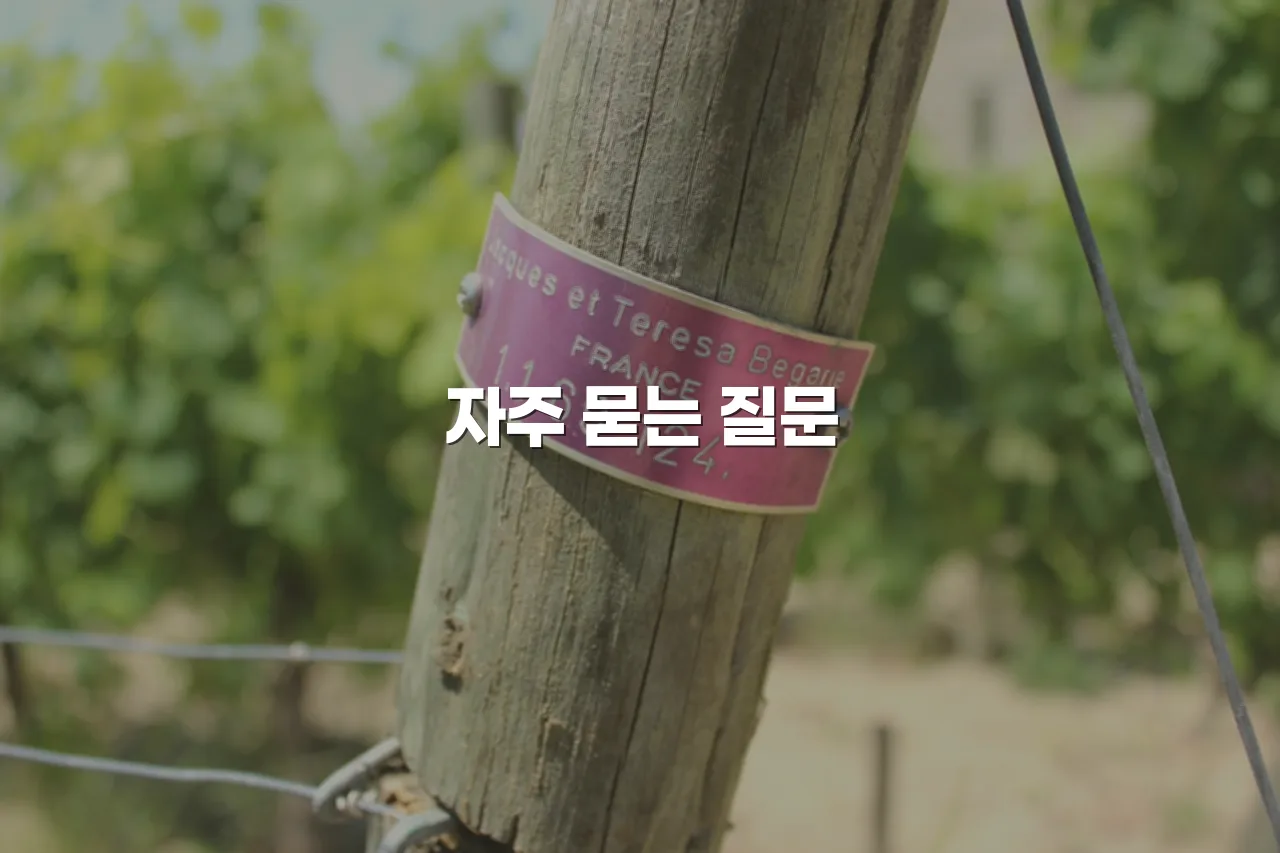 중외 힐스 아파트 주변 생활환경 분석 7가지 5 중외 힐스 아파트 주변 생활환경 분석 7가지