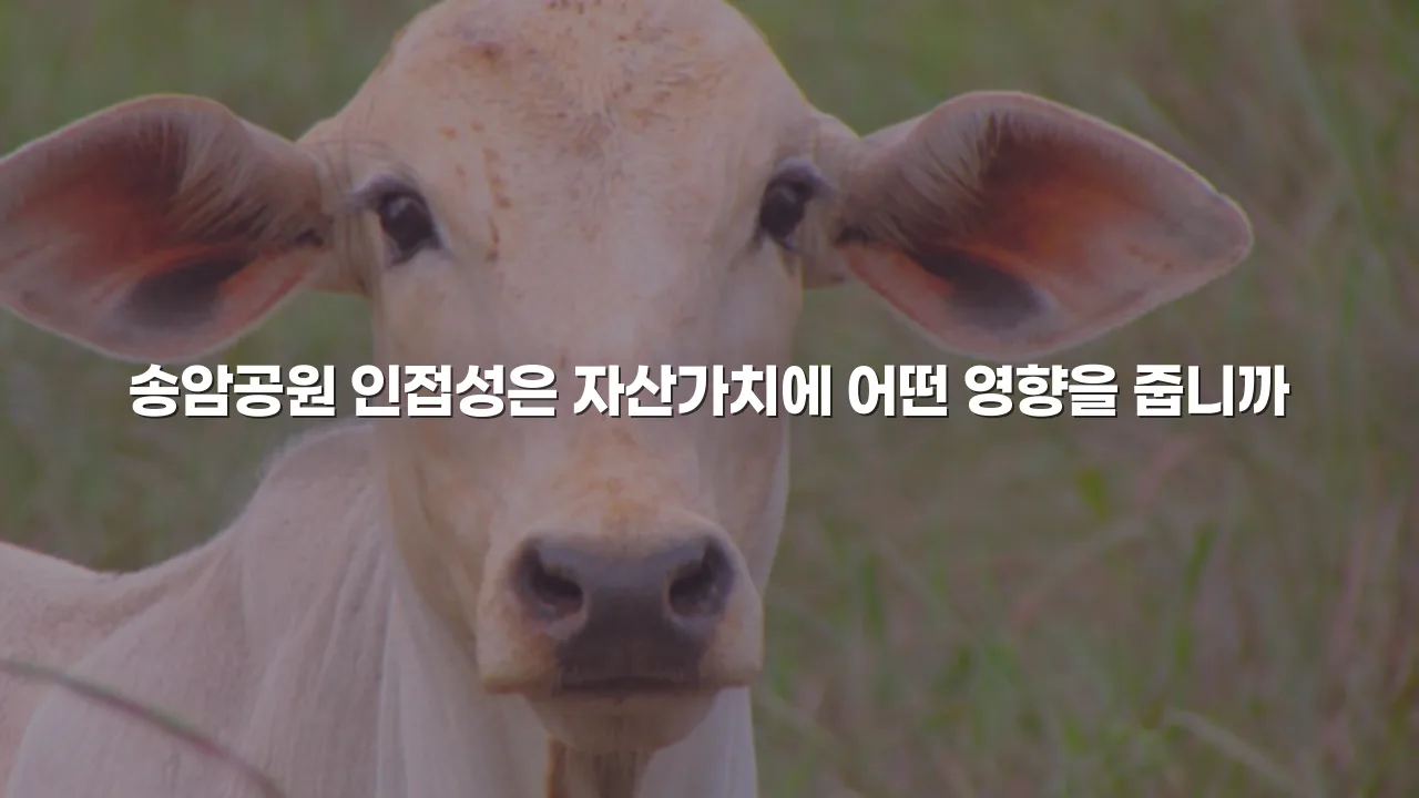 광주 송암 중흥S 분양 체크리스트