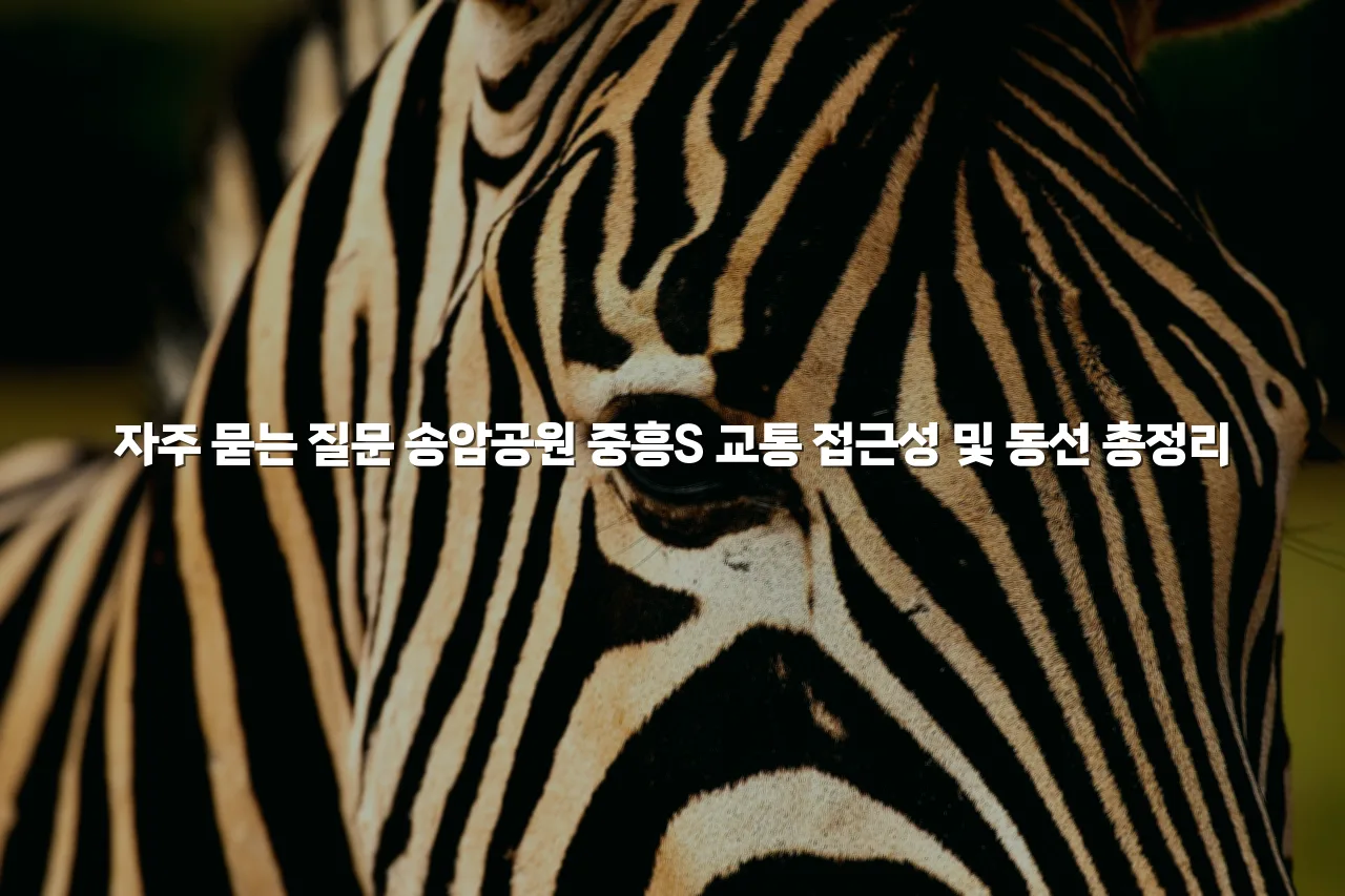 송암공원 중흥S 교통 접근성 및 동선 총정리 3 송암공원 중흥S 교통 접근성 및 동선 총정리