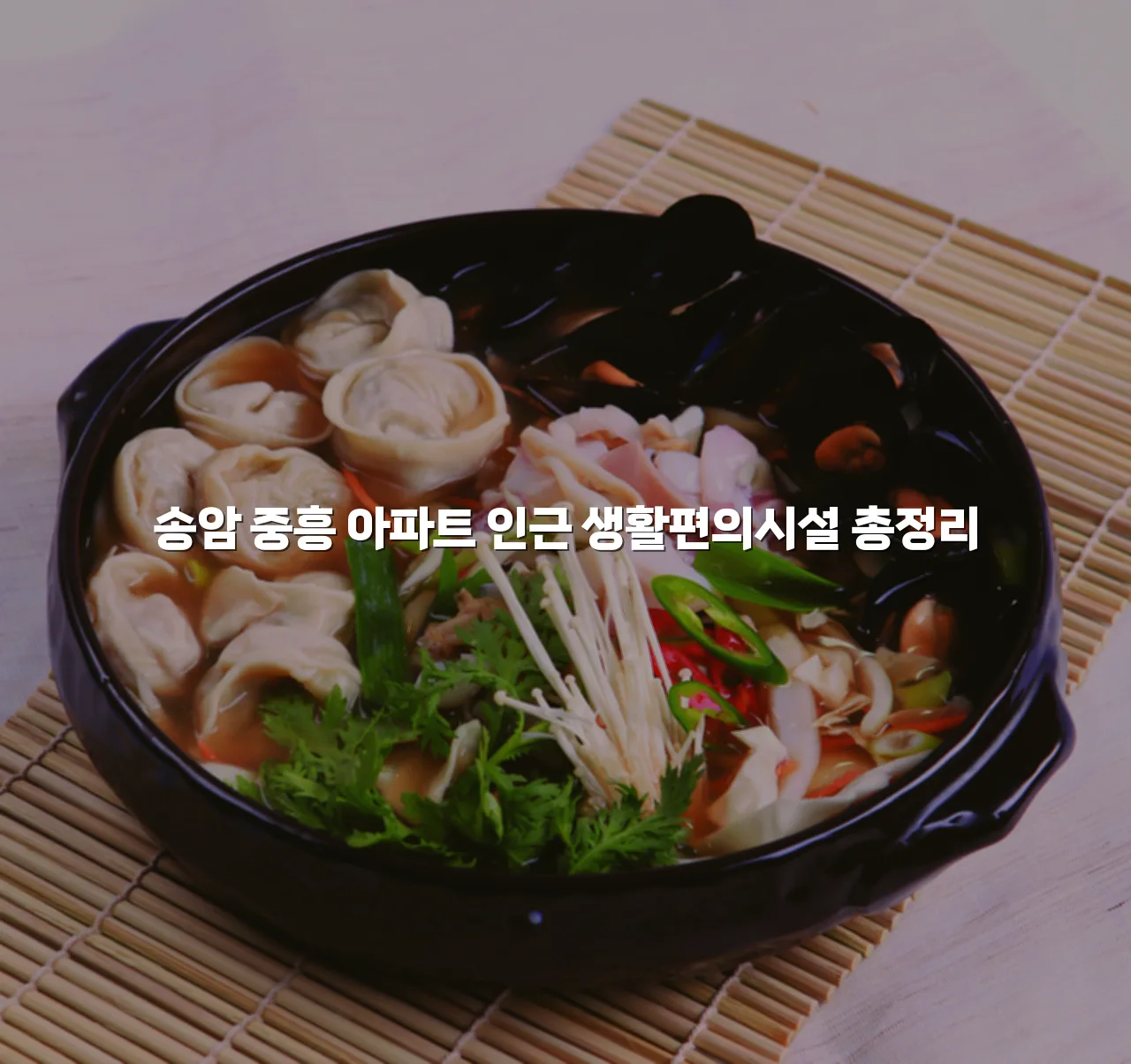 송암 중흥 아파트 인근 생활편의시설 총정리 3 송암 중흥 아파트 인근 생활편의시설 총정리