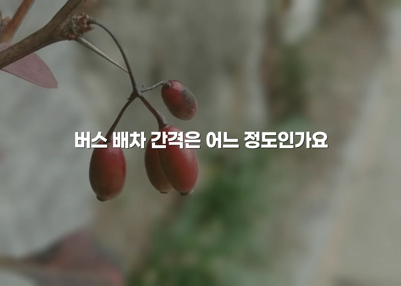 영암 대불 파크타운 교통 접근성 체크리스트
