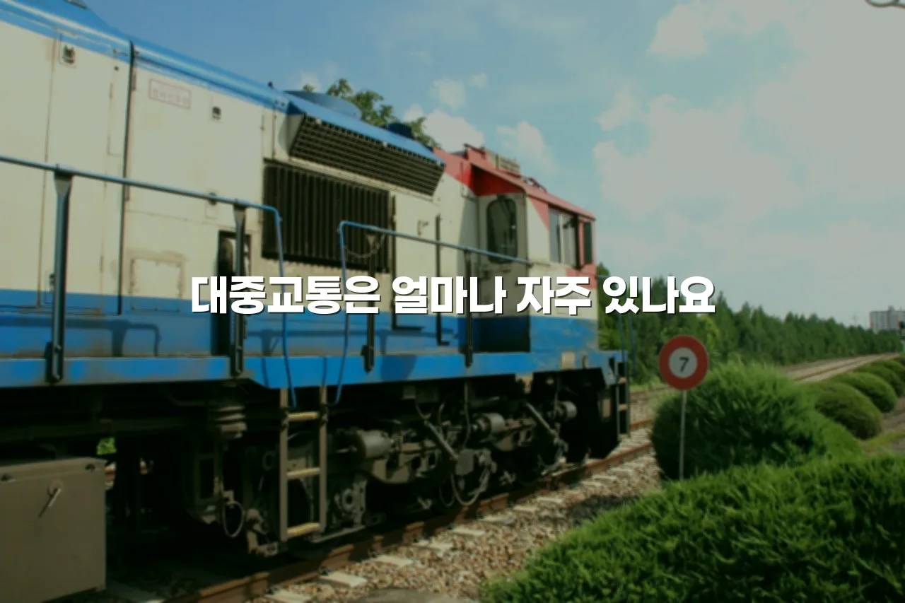 영암 대불 파크타운 교통 접근성 체크포인트 7가지